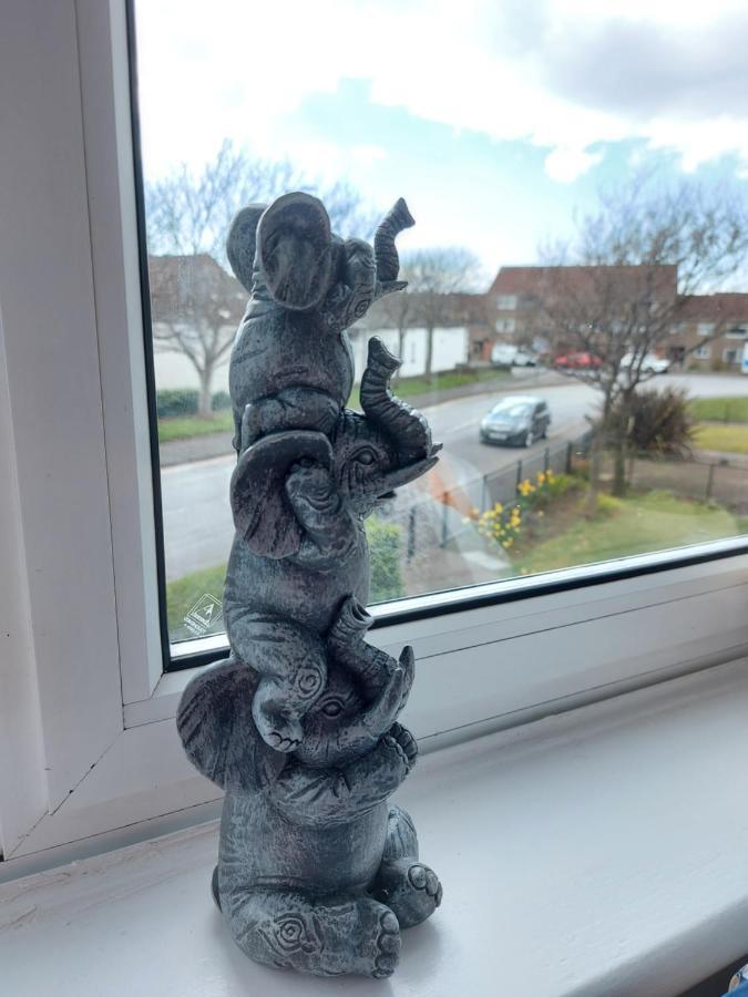 Teddy Bears' 3-Bedroom Maisonette Saltcoats Exterior foto